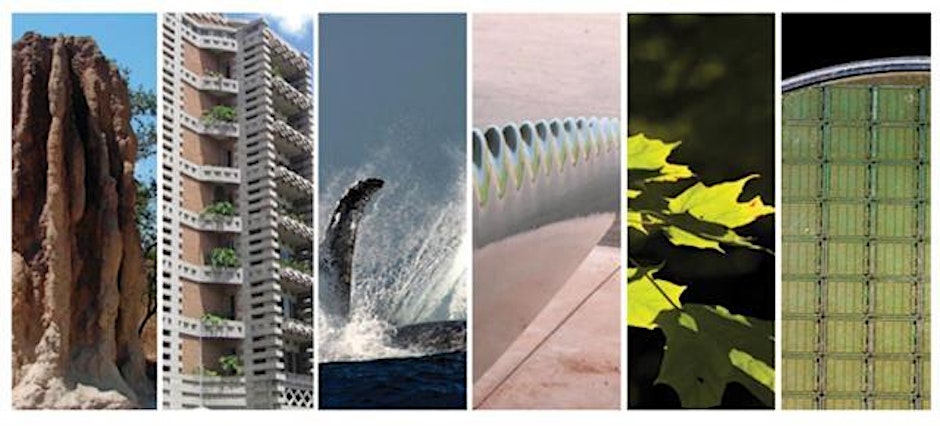 Biomimicry Design as a Spark for Innovation
